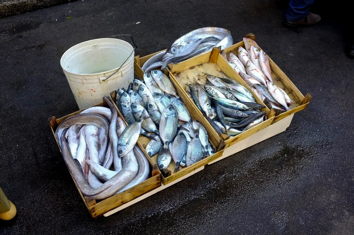 Cassetta di pesce - Fotografia di Enrico Fantoni