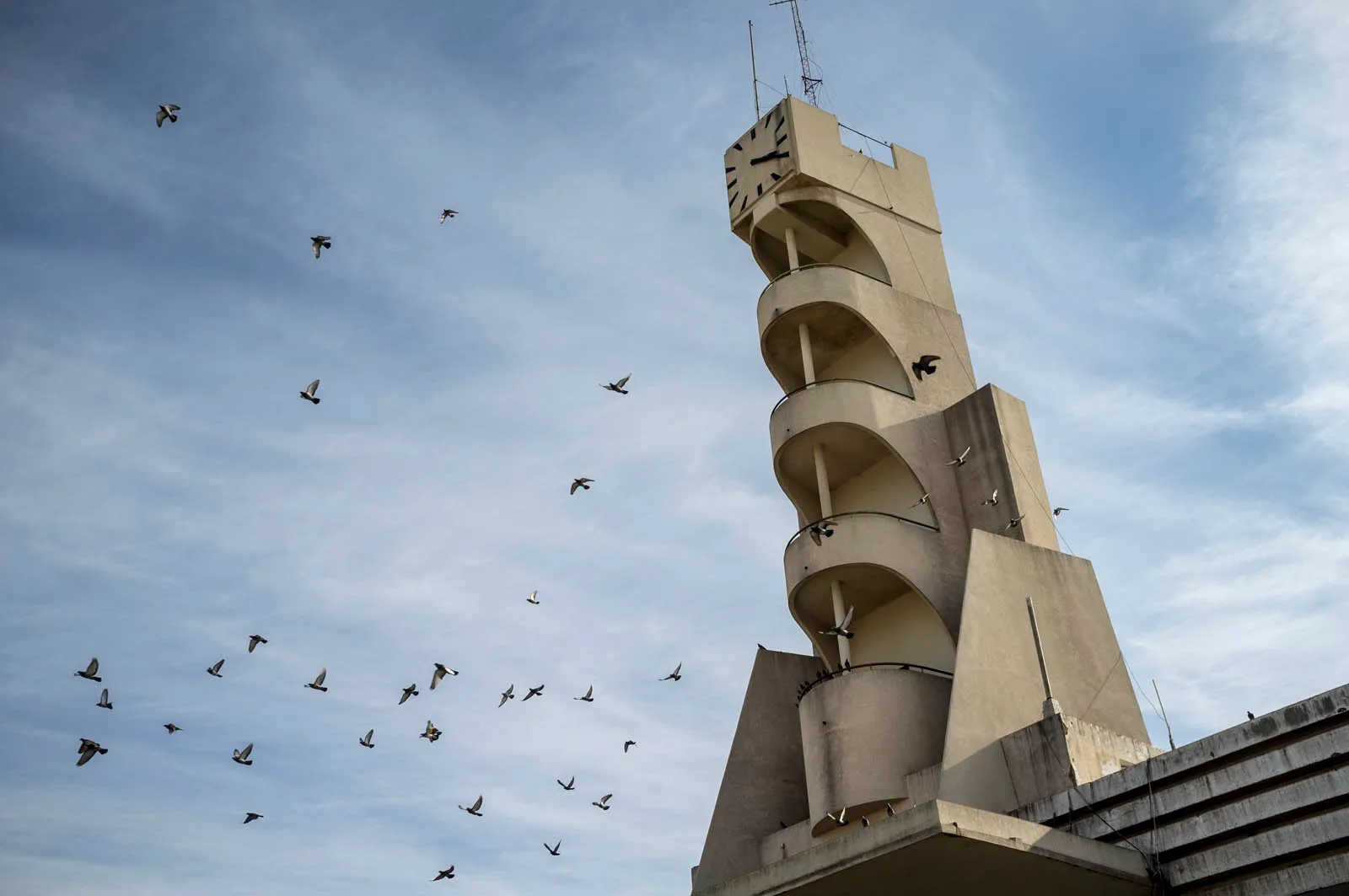Silehoutte della torre e stormo di uccelli, Francisco Salamone - Fotografia di Enrico Fantoni
